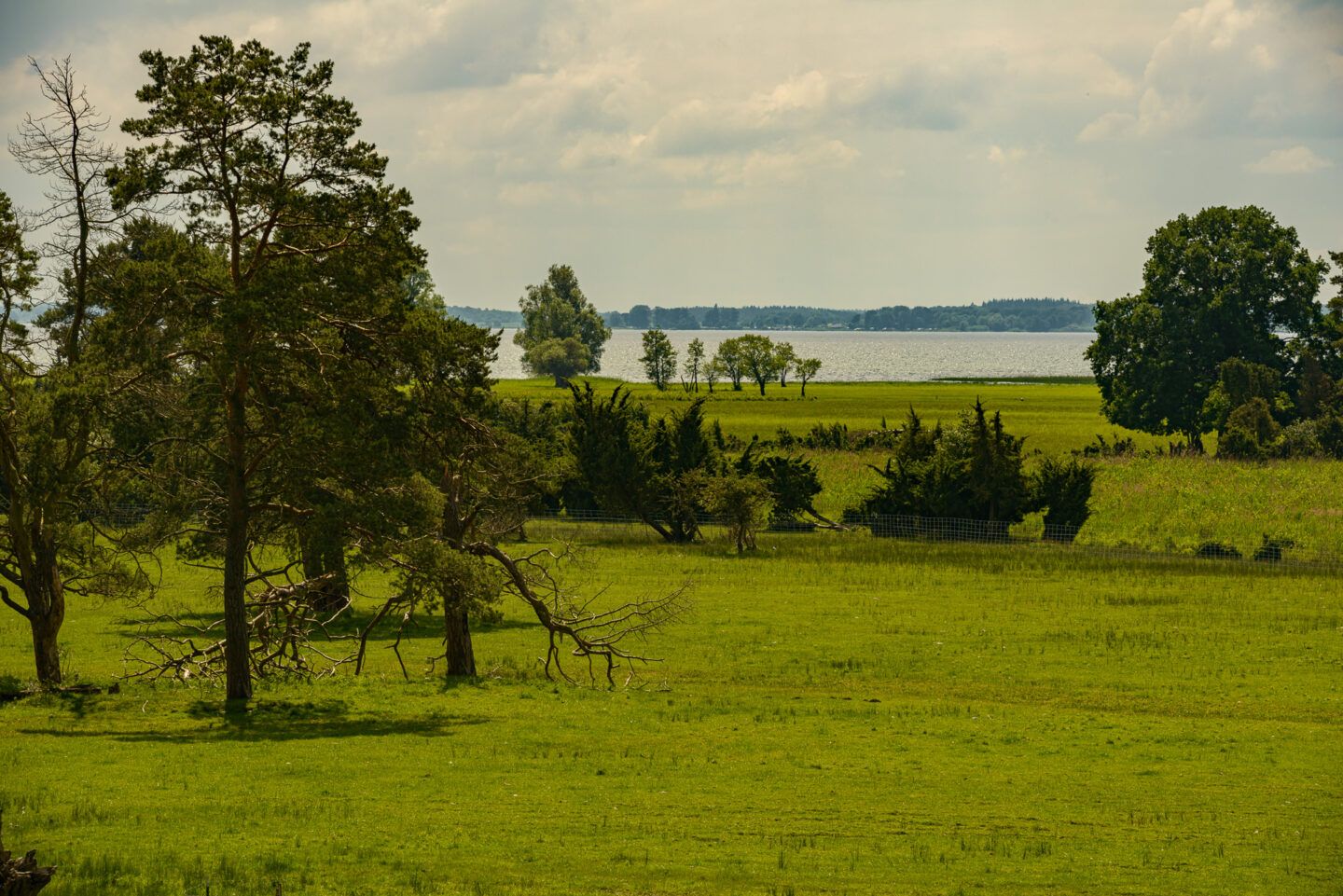 weite, ausgedehnte Landschaftsansicht. Im Vordergrund befindet sich eine üppige, grasbewachsene Wiese mit vereinzelten Bäumen. Hinter der Wiese liegt ein Gewässer, vermutlich ein See oder Fluss, umgeben von bewaldeten Hügeln in der Ferne. Der Himmel ist teils bewölkt, mit einer Mischung aus Blau- und Grautönen. Die gesamte Szene vermittelt eine ruhige, naturbelassene Atmosphäre